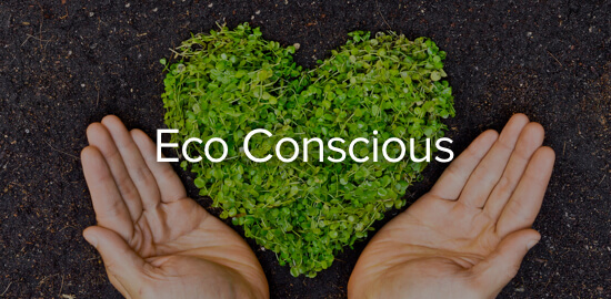 eco-conscious